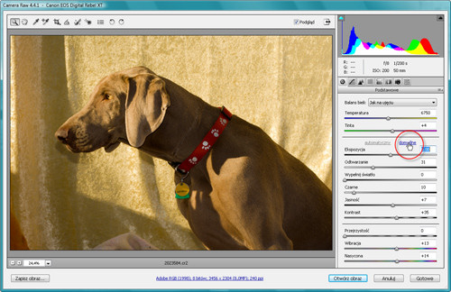 Zaklcia Photoshopa - wywoywanie plikw RAW - Automatyczna korekcja obrazw RAW