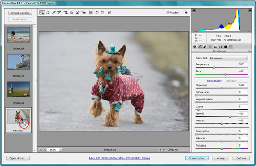 Zaklęcia Photoshopa - wywoływanie plików RAW - Przeprowadzanie korekcji na wielu obrazach jednocześnie Zaklęcia Photoshopa - wywoływanie plików RAW - Przeprowadzanie korekcji na wielu obrazach jednocześnie