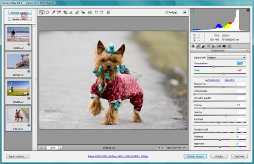 Zaklcia Photoshopa - wywoywanie plikw RAW - Przeprowadzanie korekcji na wielu obrazach jednoczenie