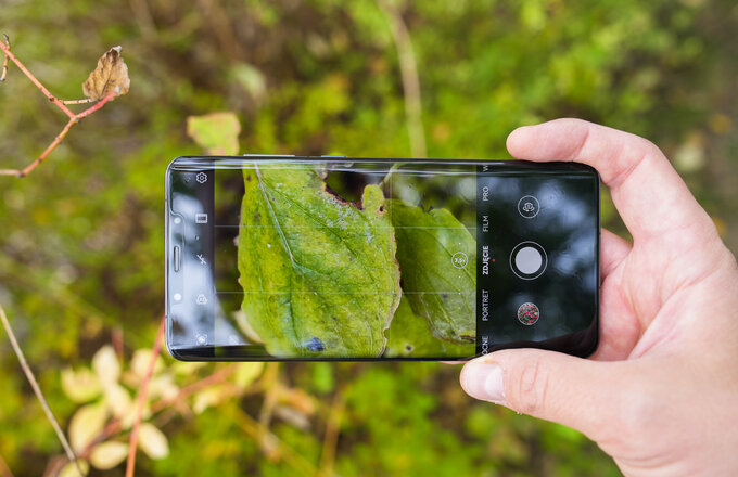 Huawei Mate 50 Pro - smartfon fotograficzno-filmowy - Fotografowanie Huawei Mate 50 Pro