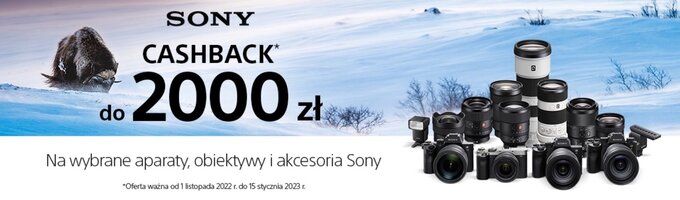 Sony Black Friday w Foto-Plus