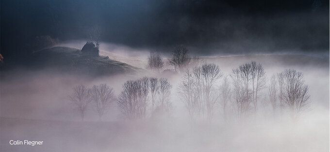 CEWE Photo Award