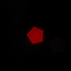 Venus Optics LAOWA 6 mm f/2 Zero-D MFT - Koma, astygmatyzm i bokeh