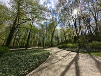 Zdjcie przykadowe nr: 28