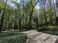 Zdjcie przykadowe nr: 29