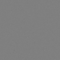Leica M11 Monochrom - Szumy i jako obrazu w RAW