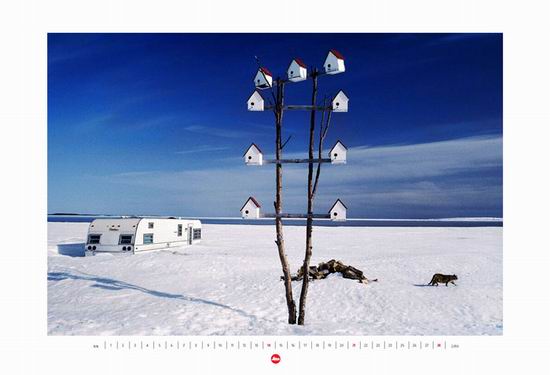 Aukcja kalendarza Leica 2010 dla WO�P