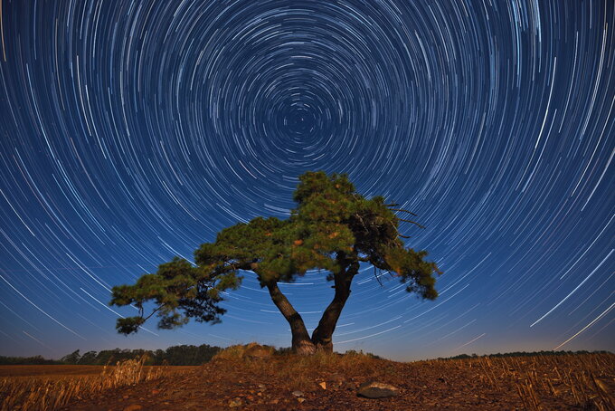 Obiektywy szerokoktne Sigma w astrofotografii - Ogniskowa 14 mm