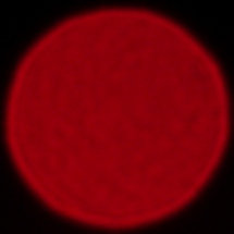 Tamron 70-180 mm f/2.8 Di III VC VXD G2 - Koma, astygmatyzm i bokeh
