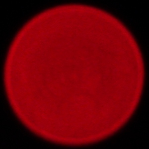Sigma S 70-200 mm f/2.8 DG DN OS - Aberracja chromatyczna i sferyczna