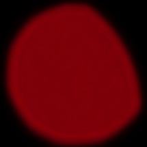 Sigma S 500 mm f/5.6 DG DN OS - Koma, astygmatyzm i bokeh