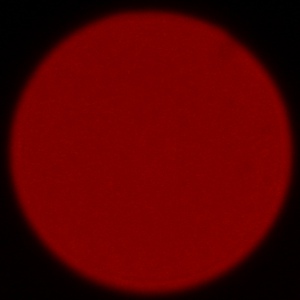 Nikon Nikkor Z 400 mm f/4.5 VR S - Aberracja chromatyczna i sferyczna