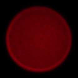 Samyang AF 35-150 mm f/2-2.8 FE - Aberracja chromatyczna i sferyczna