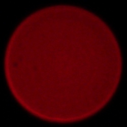 Samyang AF 35-150 mm f/2-2.8 FE - Aberracja chromatyczna i sferyczna