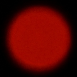 Venus Optics LAOWA FFII 90 mm f/2.8 CA-Dreamer Macro 2X - Aberracja chromatyczna i sferyczna