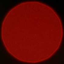 Venus Optics LAOWA FFII 90 mm f/2.8 CA-Dreamer Macro 2X - Koma, astygmatyzm i bokeh