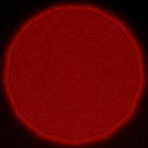 Venus Optics LAOWA FFII 90 mm f/2.8 CA-Dreamer Macro 2X - Koma, astygmatyzm i bokeh