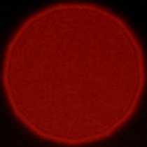 Venus Optics LAOWA FFII 90 mm f/2.8 CA-Dreamer Macro 2X - Koma, astygmatyzm i bokeh