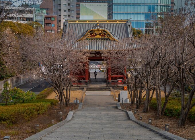 Z Sigm w Japonii - Tokio