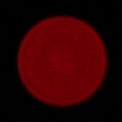 Sony FE 50-150 mm f/2 GM - Aberacja chromatyczna i sferyczna