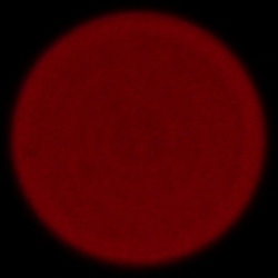 Sony FE 50-150 mm f/2 GM - Aberacja chromatyczna i sferyczna
