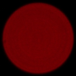 Sony FE 50-150 mm f/2 GM - Aberacja chromatyczna i sferyczna