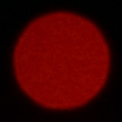 Nikon Nikkor Z MC 105 mm f/2.8 VR S - Aberacja chromatyczna i sferyczna