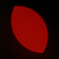 Nikon Nikkor Z MC 105 mm f/2.8 VR S - Koma, astygmatyzm i bokeh