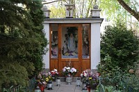Zdjcie przykadowe nr: 1