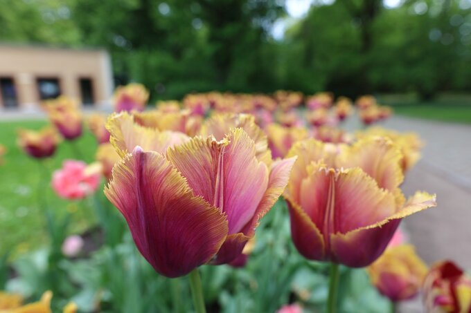 Canon RF 20 mm f/1.4L VCM w teorii i praktyce - Canon RF 20 mm f/1.4L VCM w teorii i praktyce