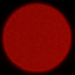 Nikon Nikkor Z 180-600 mm f/5.6-6.3 VR - Aberracja chromatyczna i sferyczna