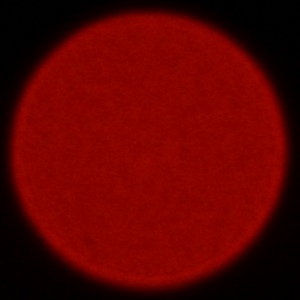 Nikon Nikkor Z 180-600 mm f/5.6-6.3 VR - Aberracja chromatyczna i sferyczna