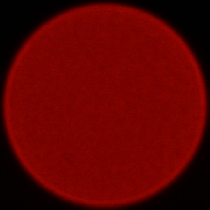 Nikon Nikkor Z 180-600 mm f/5.6-6.3 VR - Aberracja chromatyczna i sferyczna