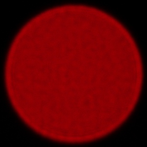 Sony FE 400-800 mm f/6.3-8 G OSS - Aberacja chromatyczna i sferyczna