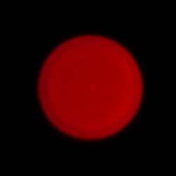 Panasonic Lumix S Pro 50 mm f/1.4 - Aberacja chromatyczna i sferyczna