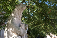 Panasonic Lumix S Pro 50 mm f/1.4 - Zdjcia przykadowe