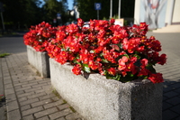 Tamron 16-30 mm f/2.8 Di III VXD G2 - zdjcia przykadowe