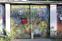 Zdjcie przykadowe nr: 14