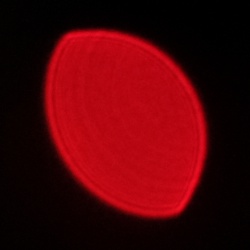 Viltrox AF 35 mm f/1.7 Air - Koma, astygmatyzm i bokeh