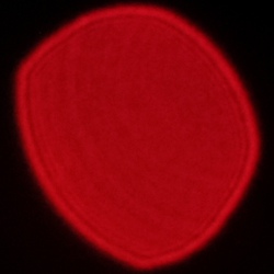 Viltrox AF 35 mm f/1.7 Air - Koma, astygmatyzm i bokeh