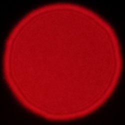 Viltrox AF 56 mm f/1.7 Air - Koma, astygmatyzm i bokeh