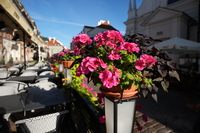 Sigma C 12 mm f/1.4 DC - zdjcia przykadowe
