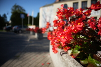 Sigma C 12 mm f/1.4 DC - zdjcia przykadowe