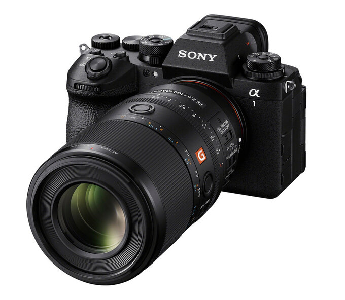 Sony FE 100mm f/2.8 Macro GM OSS