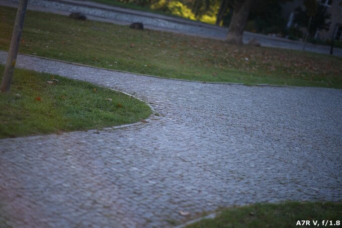 Samyang AF 85 mm f/1.8 P FE - Odblaski