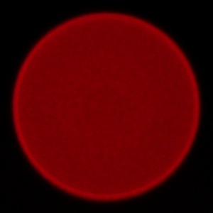 Samyang AF 85 mm f/1.8 P FE - Aberracja chromatyczna i sferyczna