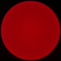 Samyang AF 85 mm f/1.8 P FE - Koma, astygmatyzm i bokeh