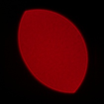 Samyang AF 85 mm f/1.8 P FE - Koma, astygmatyzm i bokeh