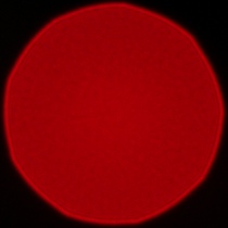 Samyang AF 85 mm f/1.8 P FE - Koma, astygmatyzm i bokeh