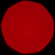 Samyang AF 85 mm f/1.8 P FE - Koma, astygmatyzm i bokeh